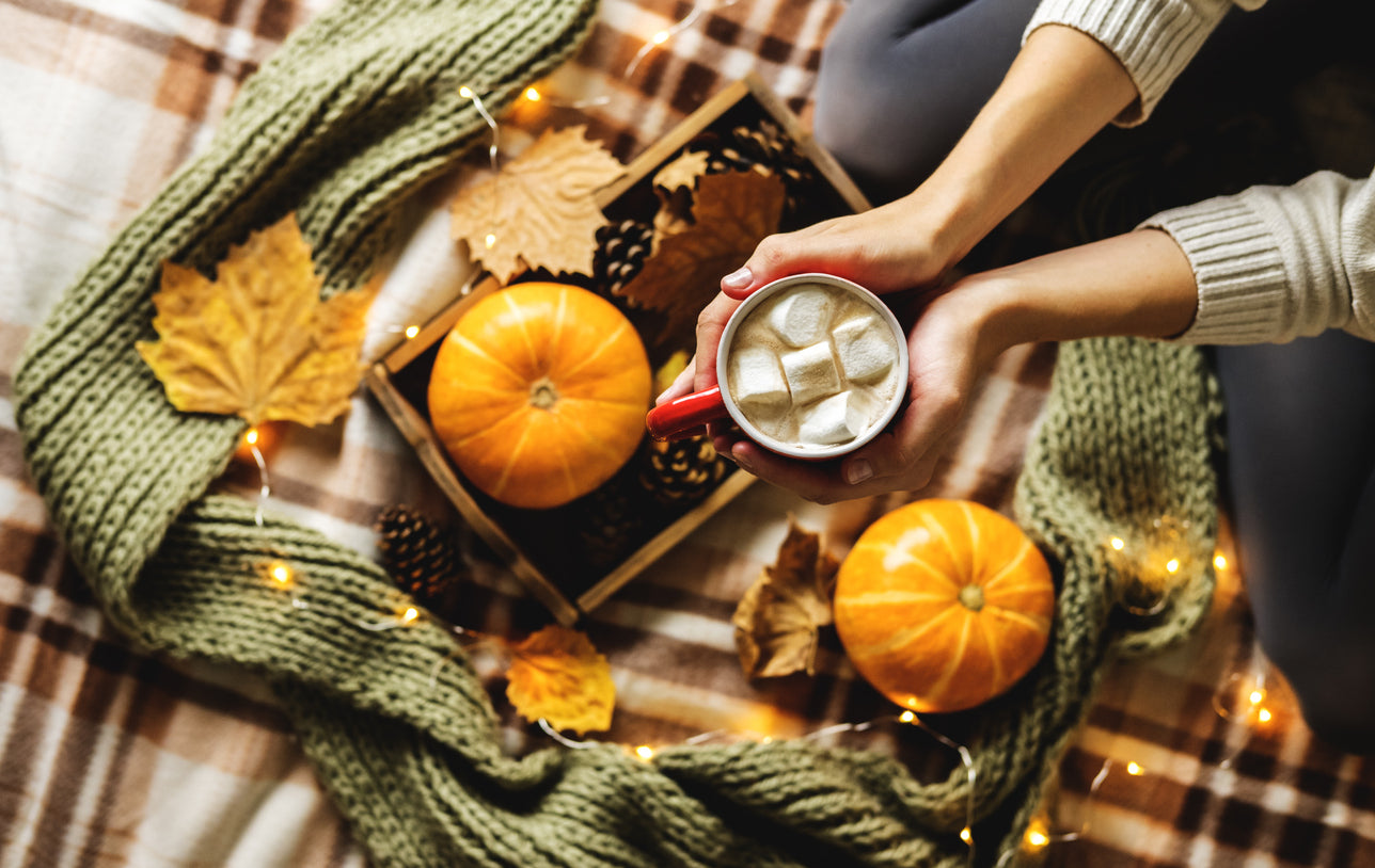 Embrace the Coziness of Fall with AARYA